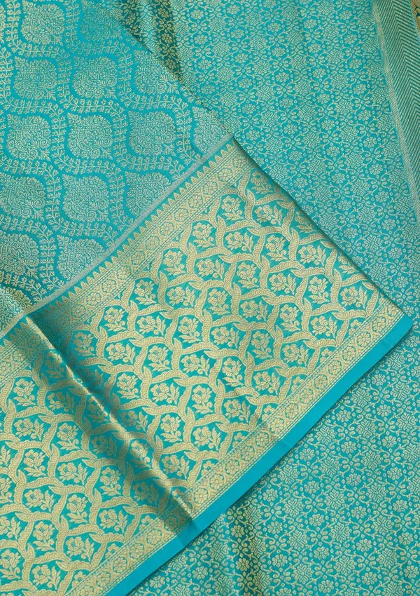 Sky_Blue_Zariwork_Gold_Pure_Silk_Saree