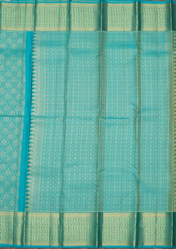 Sky_Blue_Zariwork_Gold_Pure_Silk_Saree