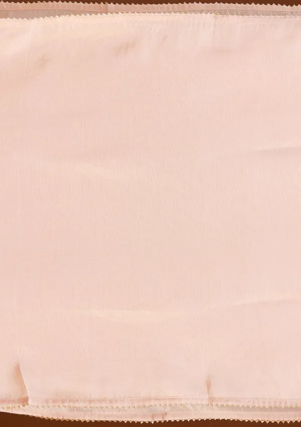 Peach_Cutdana_Tissue_Readymade_Salwar_Suit