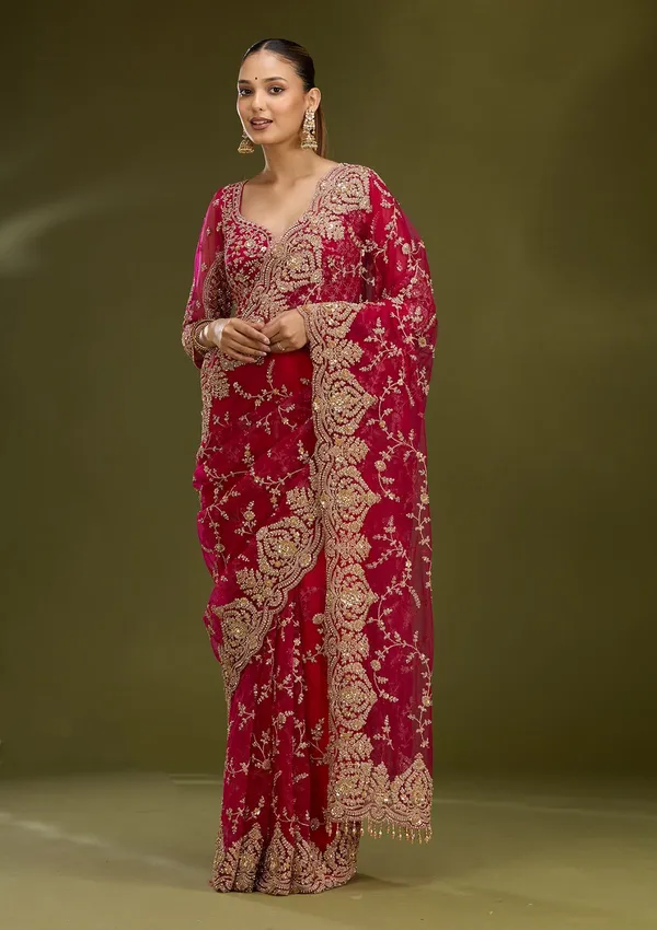 Rani_Pink_Zariwork_Gold_Net_Saree