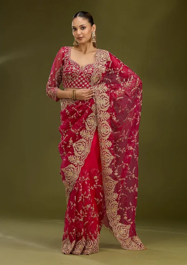 Rani_Pink_Zariwork_Gold_Net_Saree