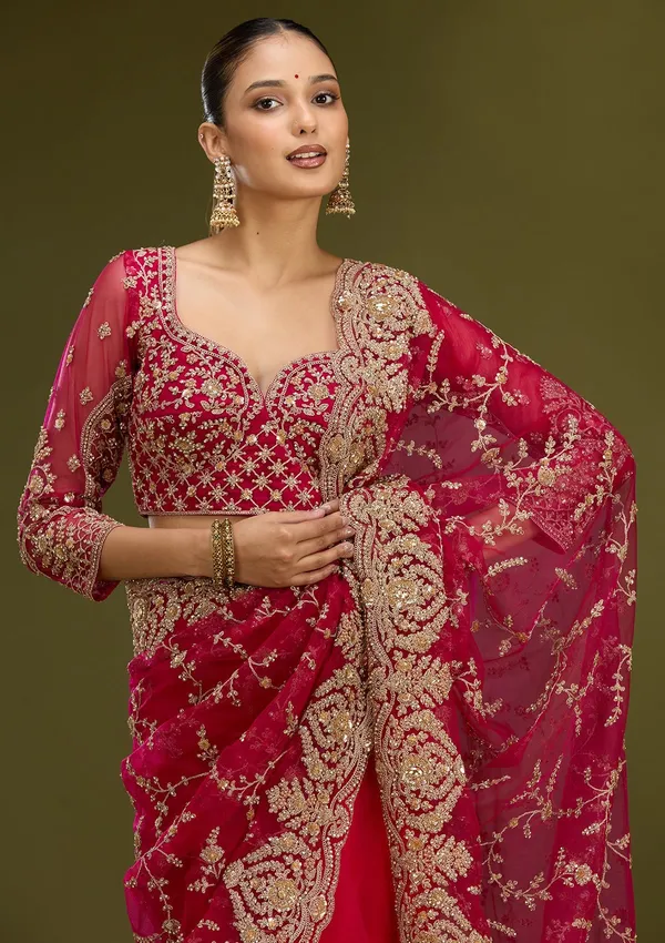 Rani_Pink_Zariwork_Gold_Net_Saree