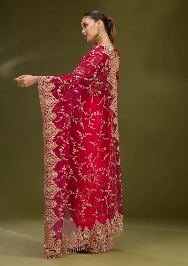 Rani_Pink_Zariwork_Gold_Net_Saree