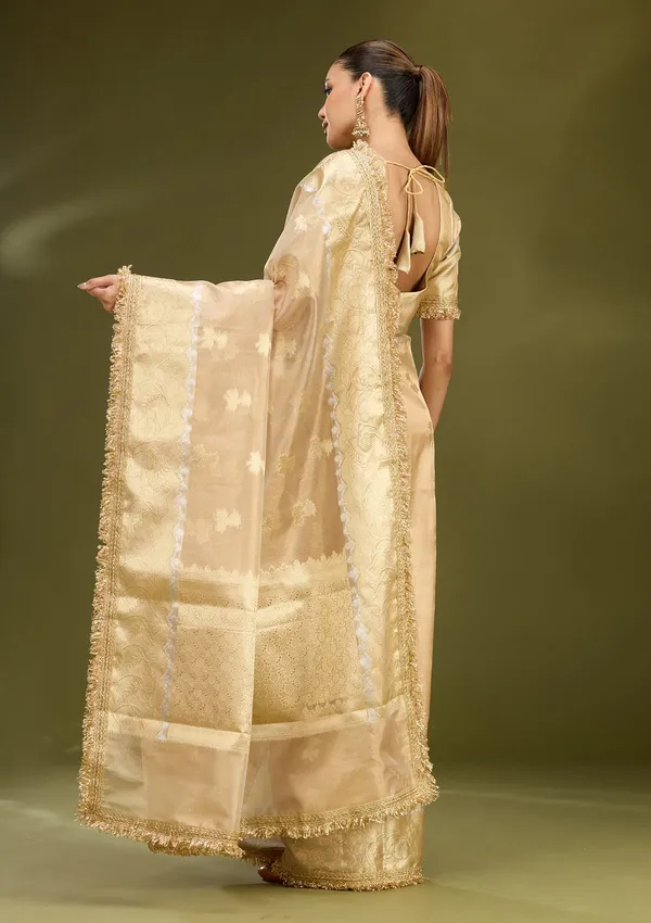 Beige_Zariwork_Gold_Tissue_Silk_Saree