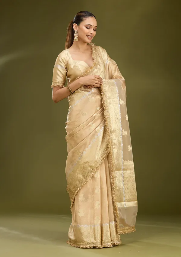 Beige_Zariwork_Gold_Tissue_Silk_Saree