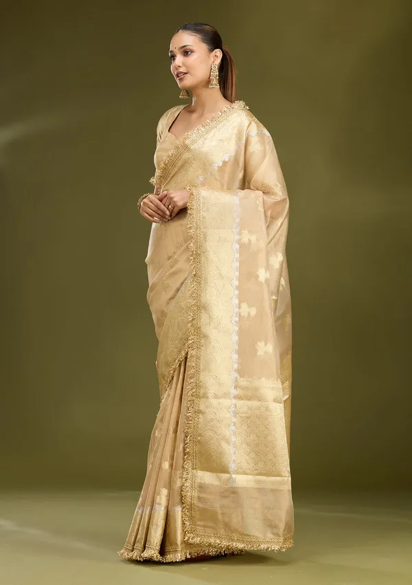Beige_Zariwork_Gold_Tissue_Silk_Saree