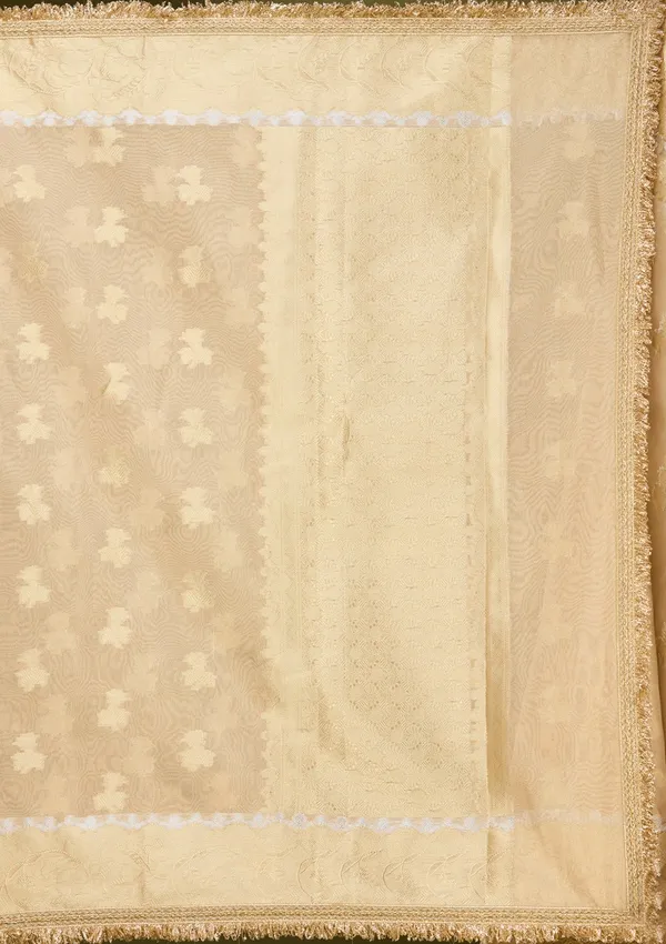 Beige_Zariwork_Gold_Tissue_Silk_Saree