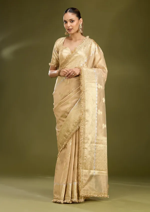 Beige_Zariwork_Gold_Tissue_Silk_Saree