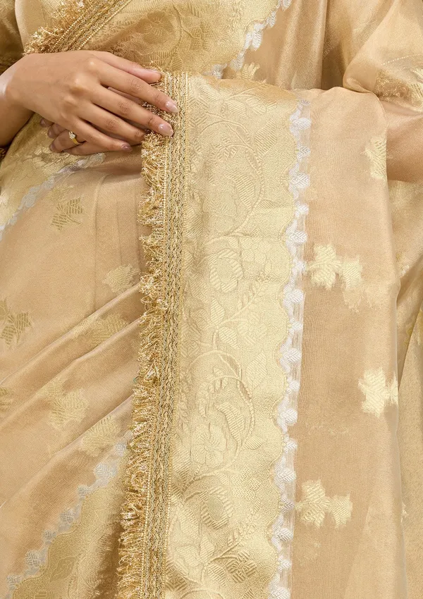 Beige_Zariwork_Gold_Tissue_Silk_Saree