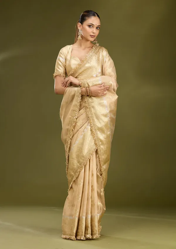 Beige_Zariwork_Gold_Tissue_Silk_Saree