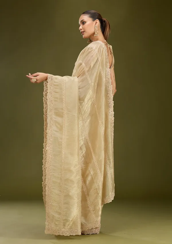 Gold_Cutwork_Tissue_Saree