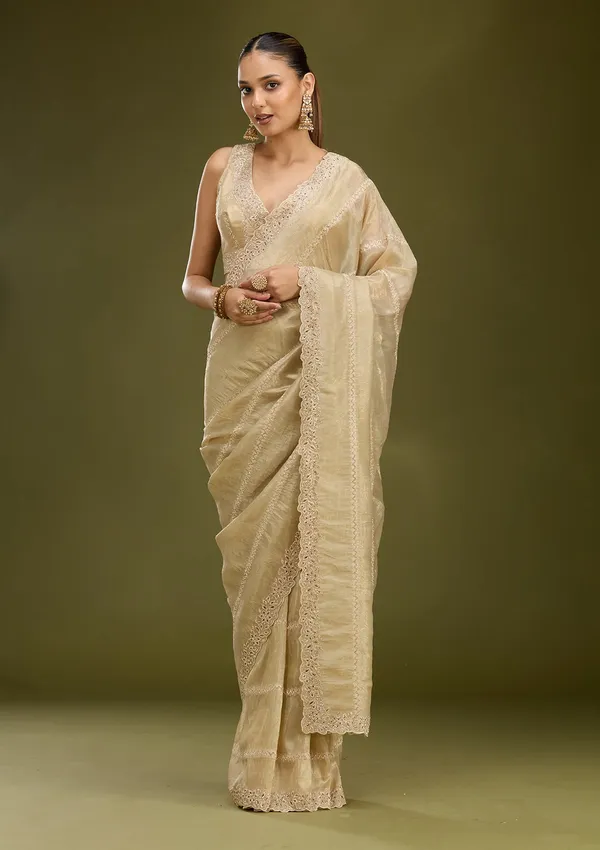 Gold_Cutwork_Tissue_Saree