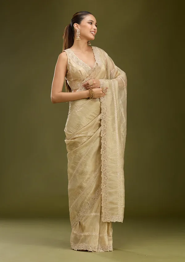 Gold_Cutwork_Tissue_Saree