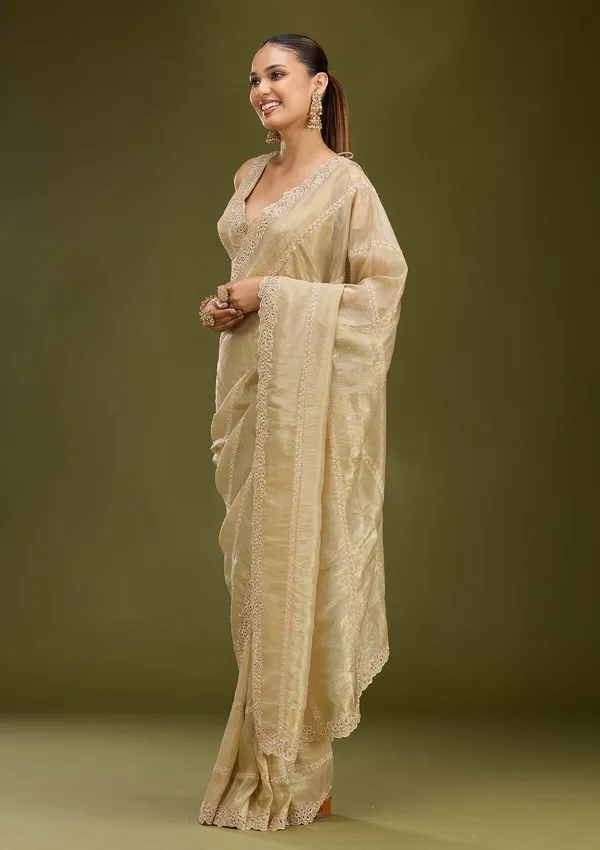 Gold_Cutwork_Tissue_Saree