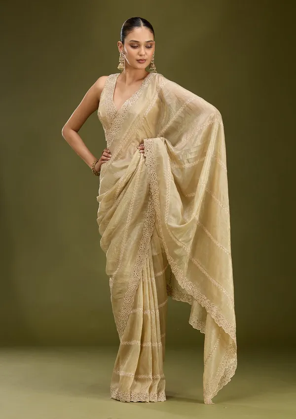 Gold_Cutwork_Tissue_Saree