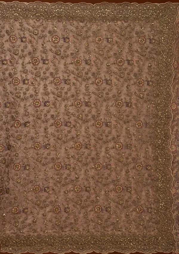 Beige_Net_Cording_Saree_With_Matching_Blouse_Piece
