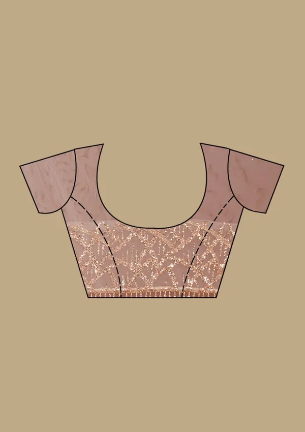 Beige_Net_Sequins_Saree_With_Matching_Blouse_Piece