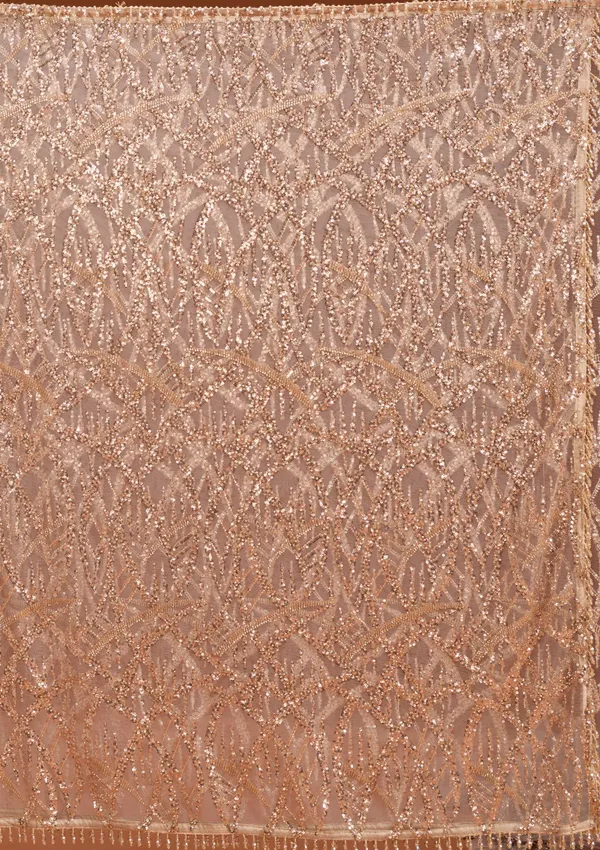 Beige_Net_Sequins_Saree_With_Matching_Blouse_Piece