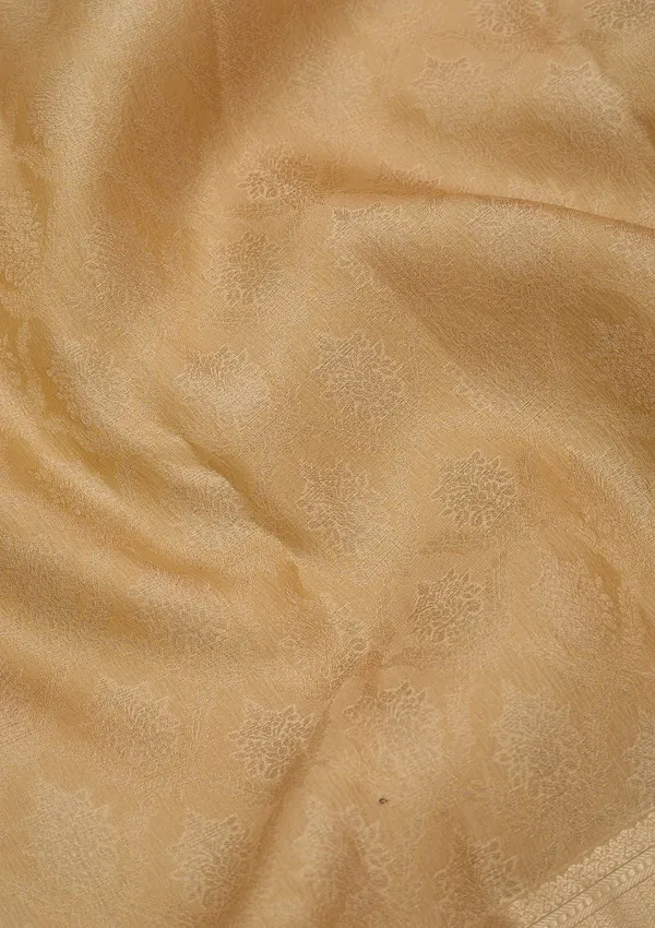 Beige_Silk_Jaal_Gold_Zariwork_Saree_With_Matching_Blouse_Piece
