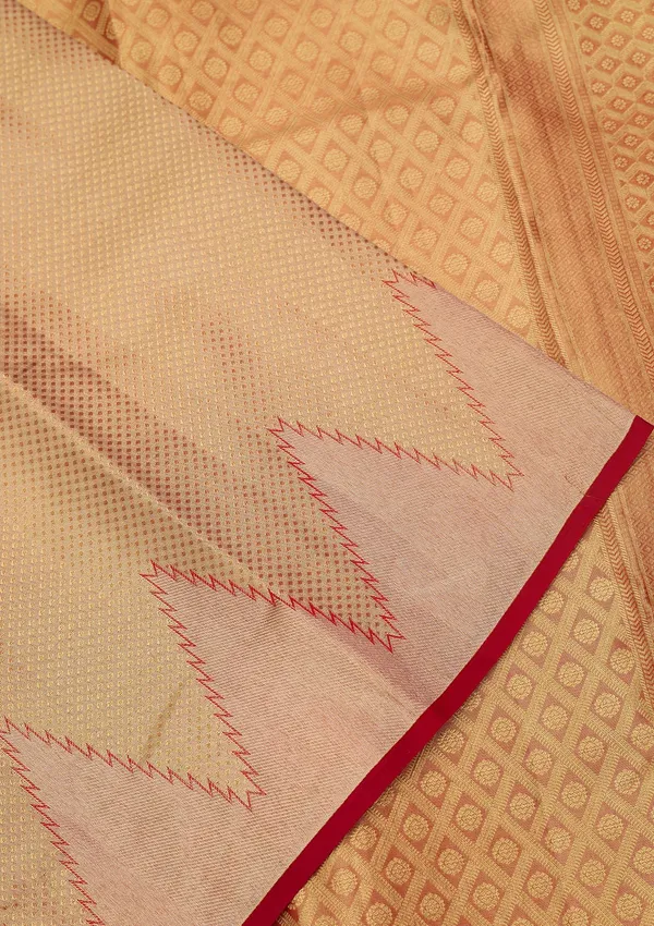 Gold_Silk_Jaal_Gold_Zariwork_Saree_With_Matching_Blouse_Piece