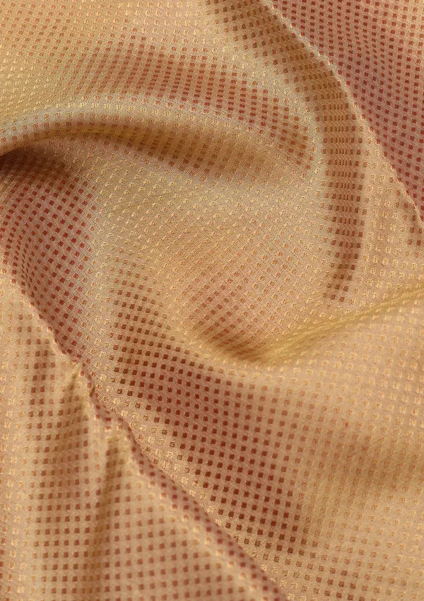Gold_Silk_Jaal_Gold_Zariwork_Saree_With_Matching_Blouse_Piece