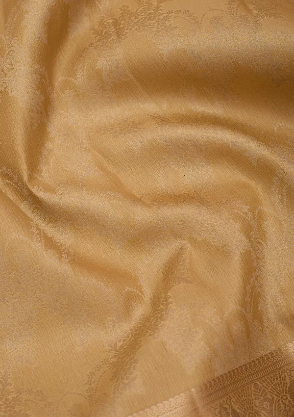 Beige_Pure_Silk_Jaal_Gold_Zariwork_Saree_With_Matching_Blouse_Piece