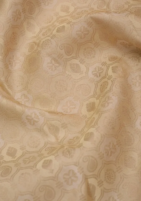 Cream_Silk_Jaal_Silver_Zariwork_Saree_With_Matching_Blouse_Piece