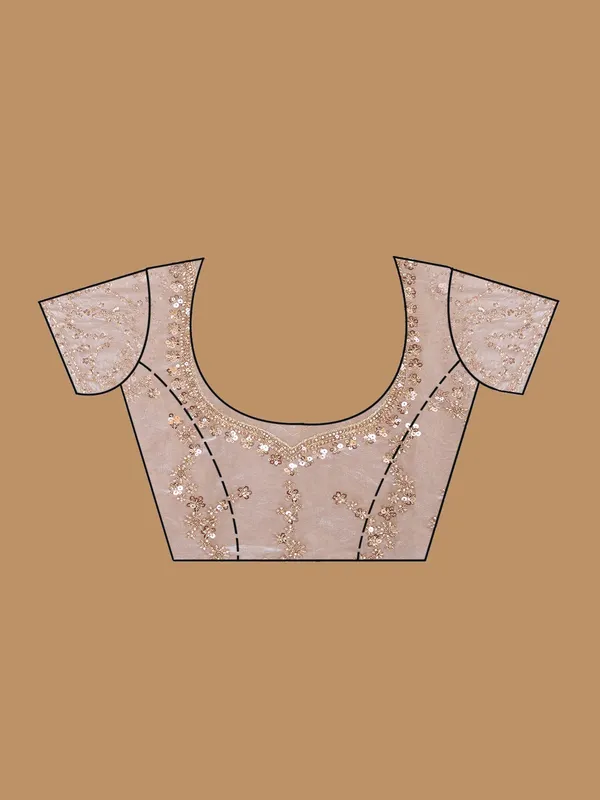 Beige_Tissue_Sequins_Saree_With_Matching_Blouse_Piece