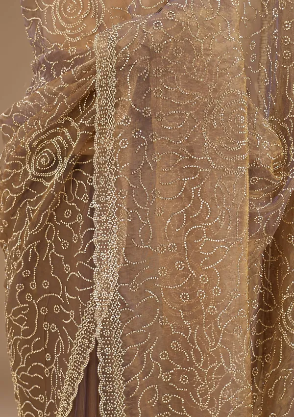 Gold_Stonework_Gold_Tissue_Saree