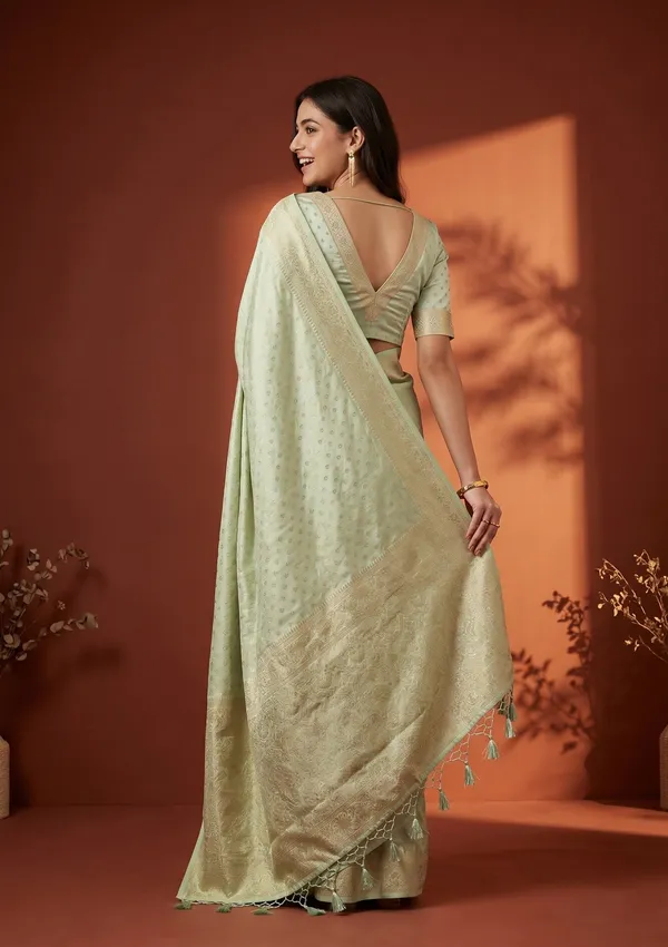 Pista_Green_Banarasi_Art_Silk_Saree