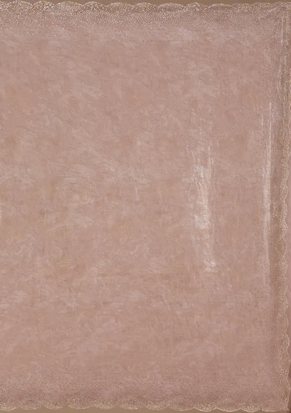 Mauve_Tissue_Gold_Stonework_Saree_With_Matching_Blouse_Piece