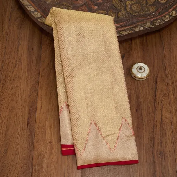 Gold_Silk_Jaal_Gold_Zariwork_Saree_With_Matching_Blouse_Piece