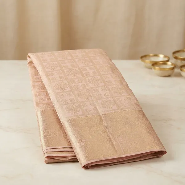 Light_Grey_Zariwork_Gold_Silk_Silk_Saree