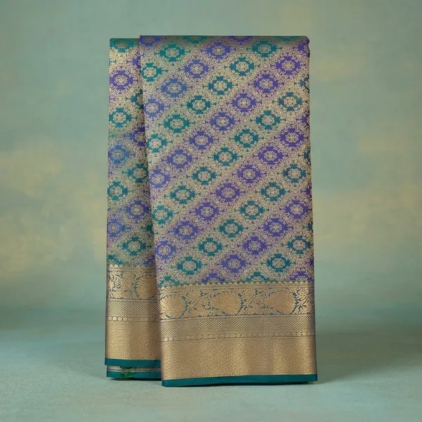 Sky_Blue_Zariwork_Gold_Silk_Silk_Saree
