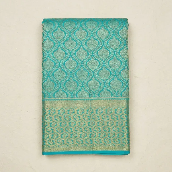 Sky_Blue_Zariwork_Gold_Pure_Silk_Saree