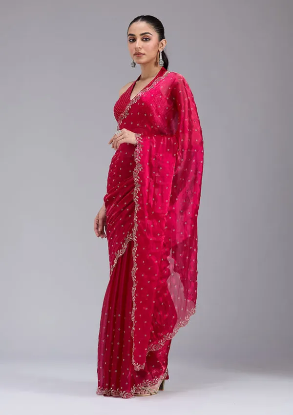 Rani_Pink_Tissue_Gold_Stonework_Saree_With_Matching_Blouse_Piece