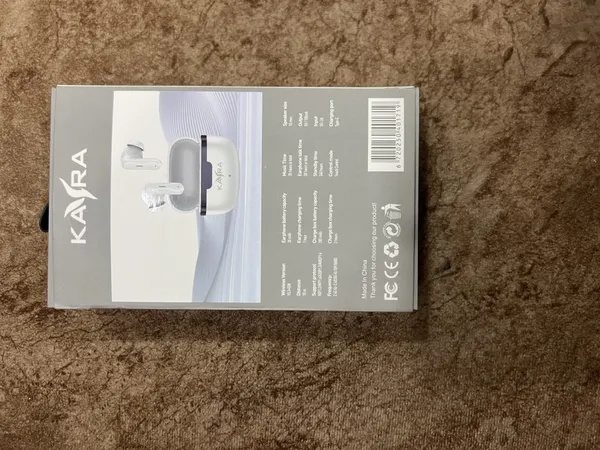 Black_Propods_And_171_Wireless_Earbuds_With_Charging_Case