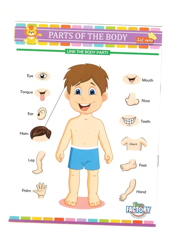 Magnetic_Learning_Kit
