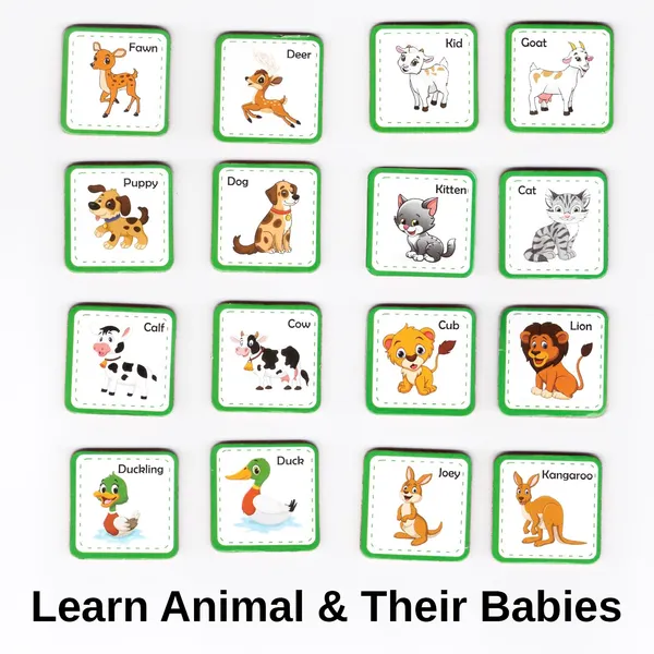 Magnetic_Learning_Kit