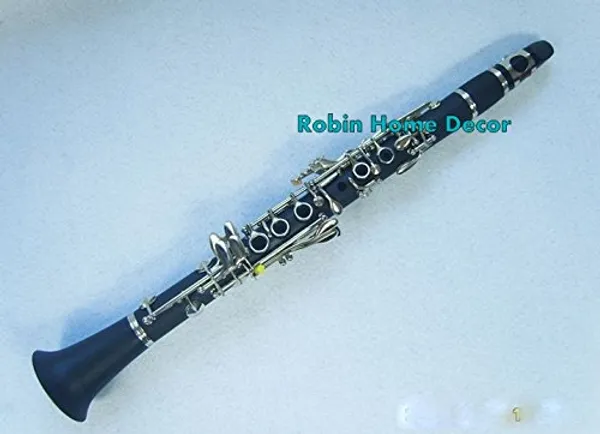 Bb_Clarinet_With_Case