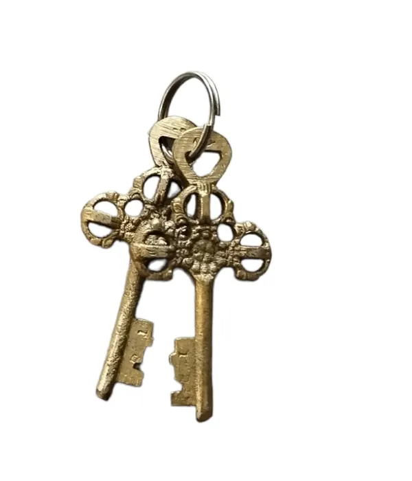 Brass_Turtle_Padlock