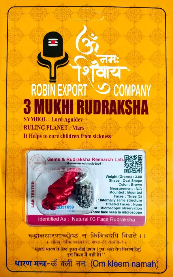 Rudraksha_Bead