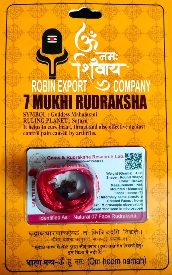 7_Mukhi_Rudraksha_Bead