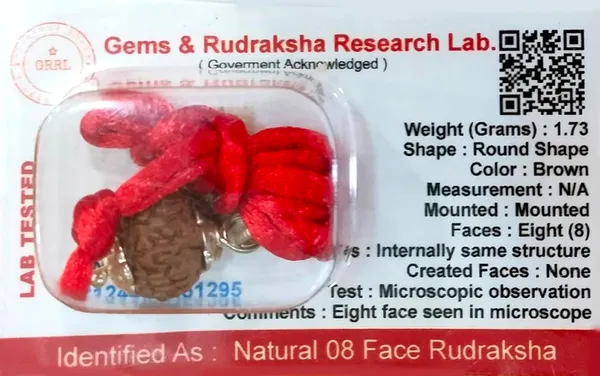8_Mukhi_Rudraksha_Bead