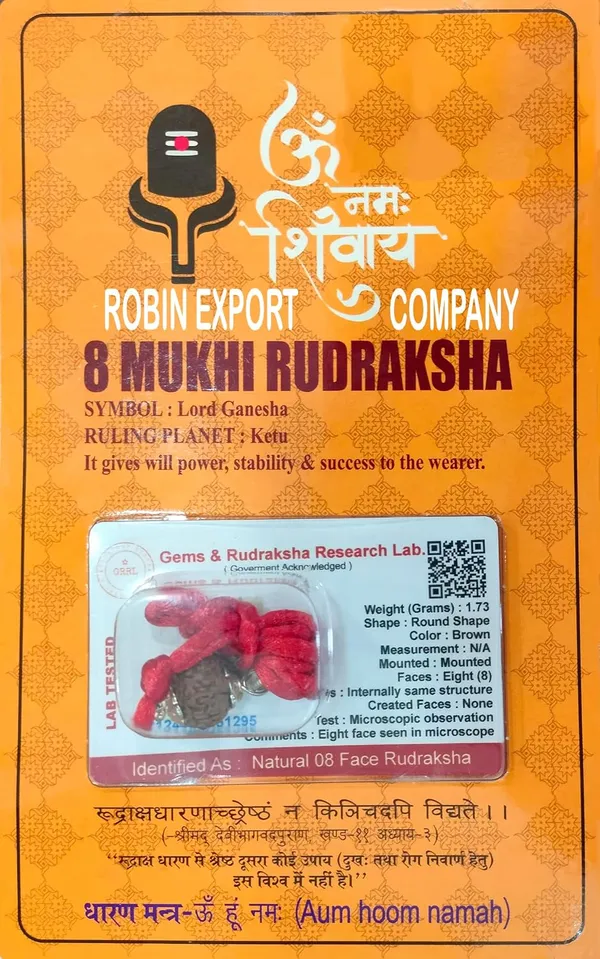 8_Mukhi_Rudraksha_Bead