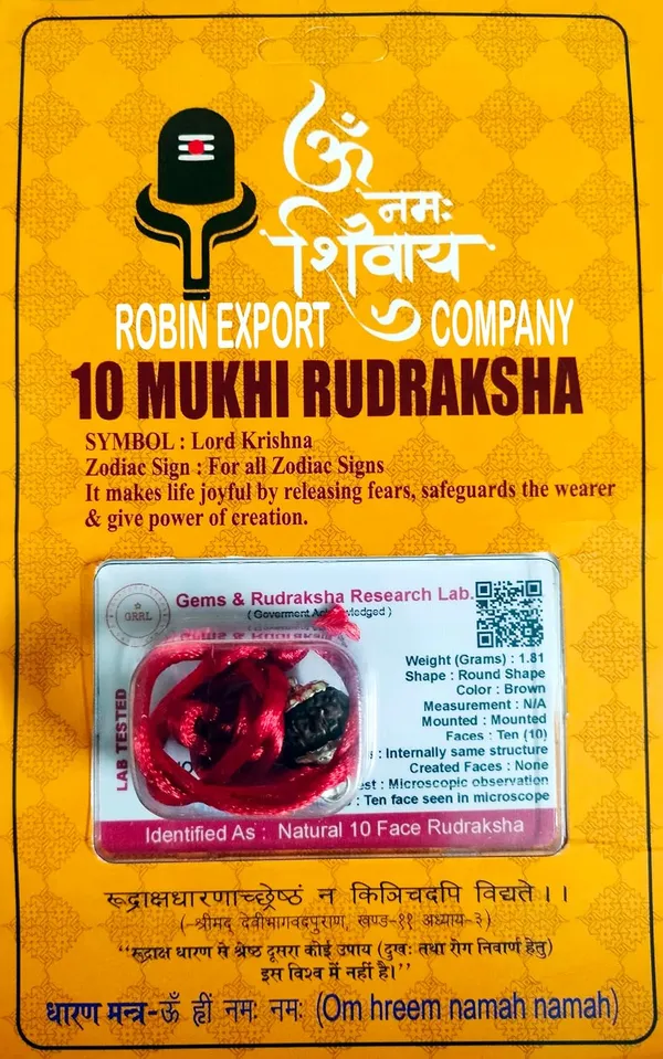 10_Mukhi_Rudraksha_Bead