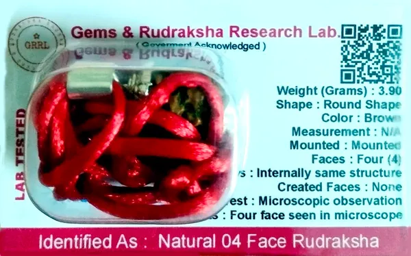 Four_Mukhi_Rudraksha_Bead