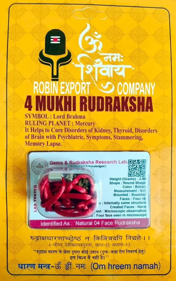 Four_Mukhi_Rudraksha_Bead