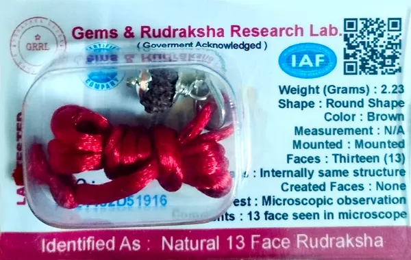Rudraksha_Bead_Pendant