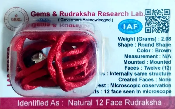 Rudraksha_Bead_With_Certificate